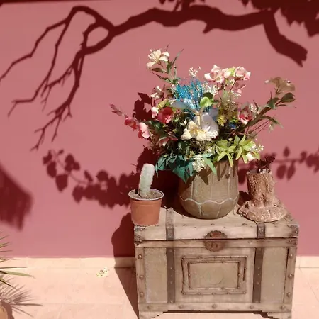 Konstantinos Holidays House 别墅 *